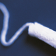 Illustration for article titled Tampon Pellet Fuel Exists, and You Definitely Shouldn't Order Feminine Products from eBay